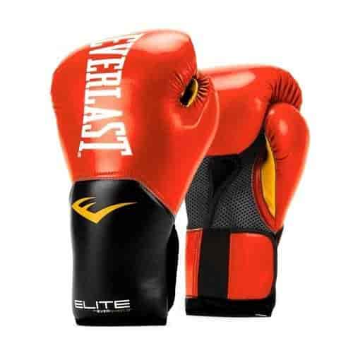 everlast mini boxing gloves