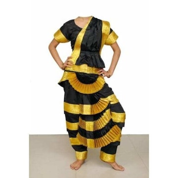 Bharatanatyam Costume in Vrindavan - Elegant, Traditional Attire for  Dancers - Justdial Verified