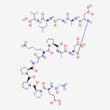 Bpc 157 Peptides