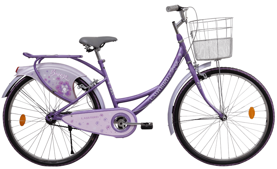 Bsa online ladybird breeze