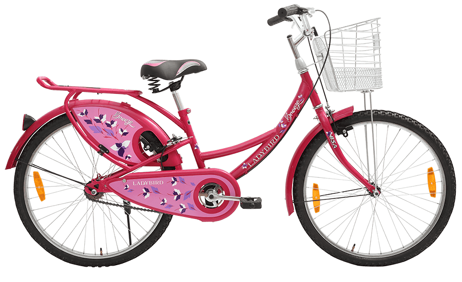 Bsa bicycle hot sale for girl