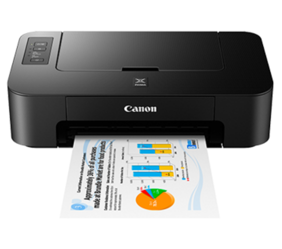 CANON PIXMA Color Inkjet Printer (TS207) 7.7 PPM