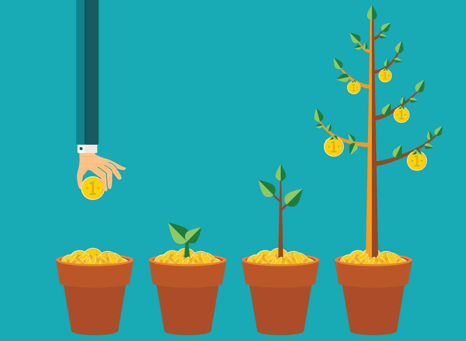 Capital Access for Businesses