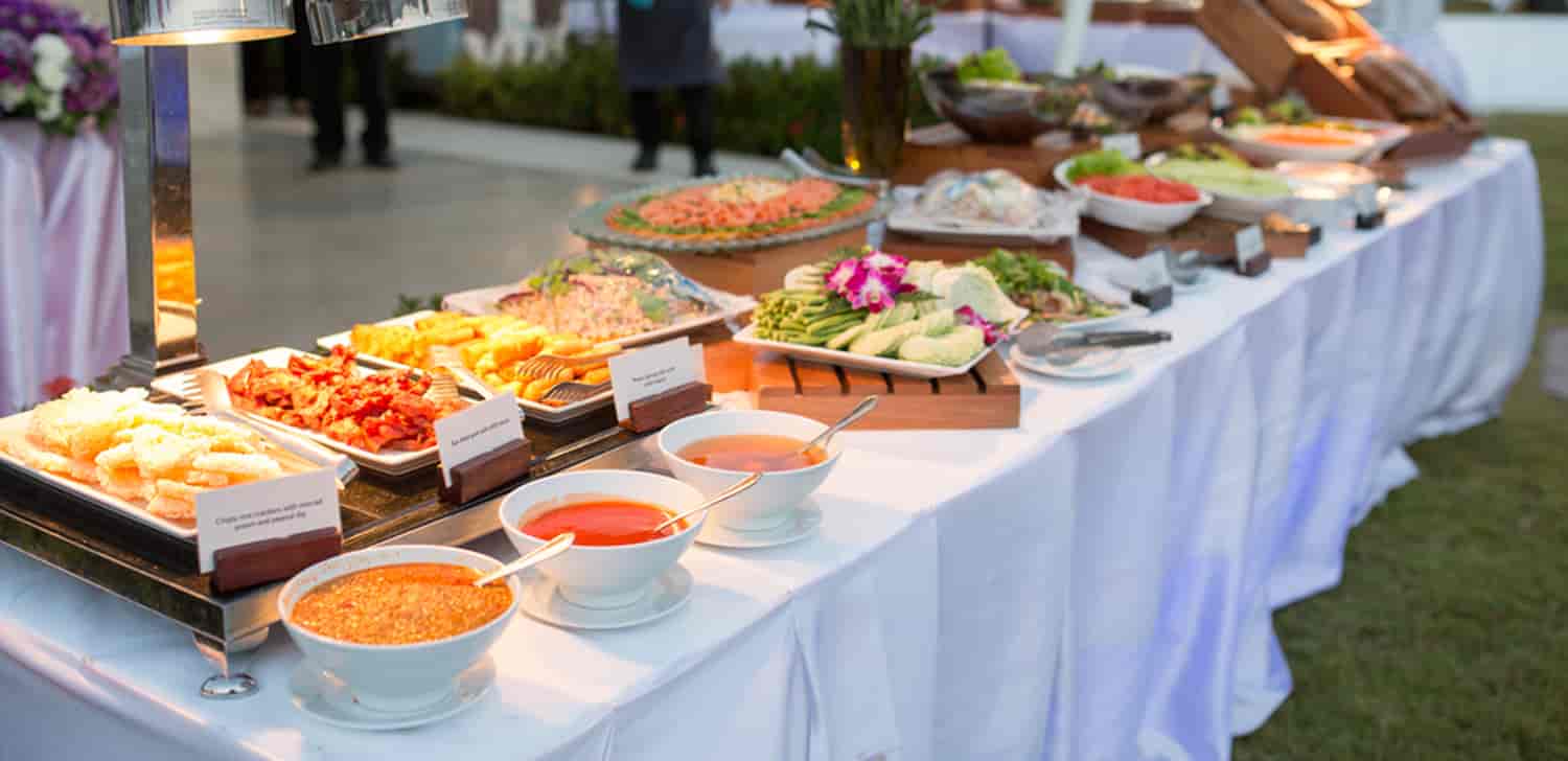 Caterer for Party