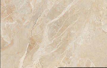 Porcelain Glossy Slab Tile Price Starting From Rs 30/Sq.ft. Find ...