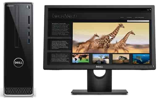 ☺︎︎︎︎ Zoe Schwarz