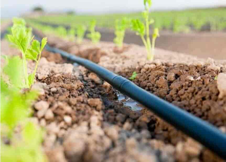 Best Drip Irrigation System Dealers in Kolhapur Justdial