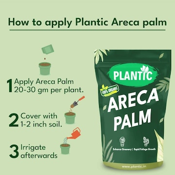 Artificial Areca Palm - Get Best Price from Manufacturers & Suppliers in  India