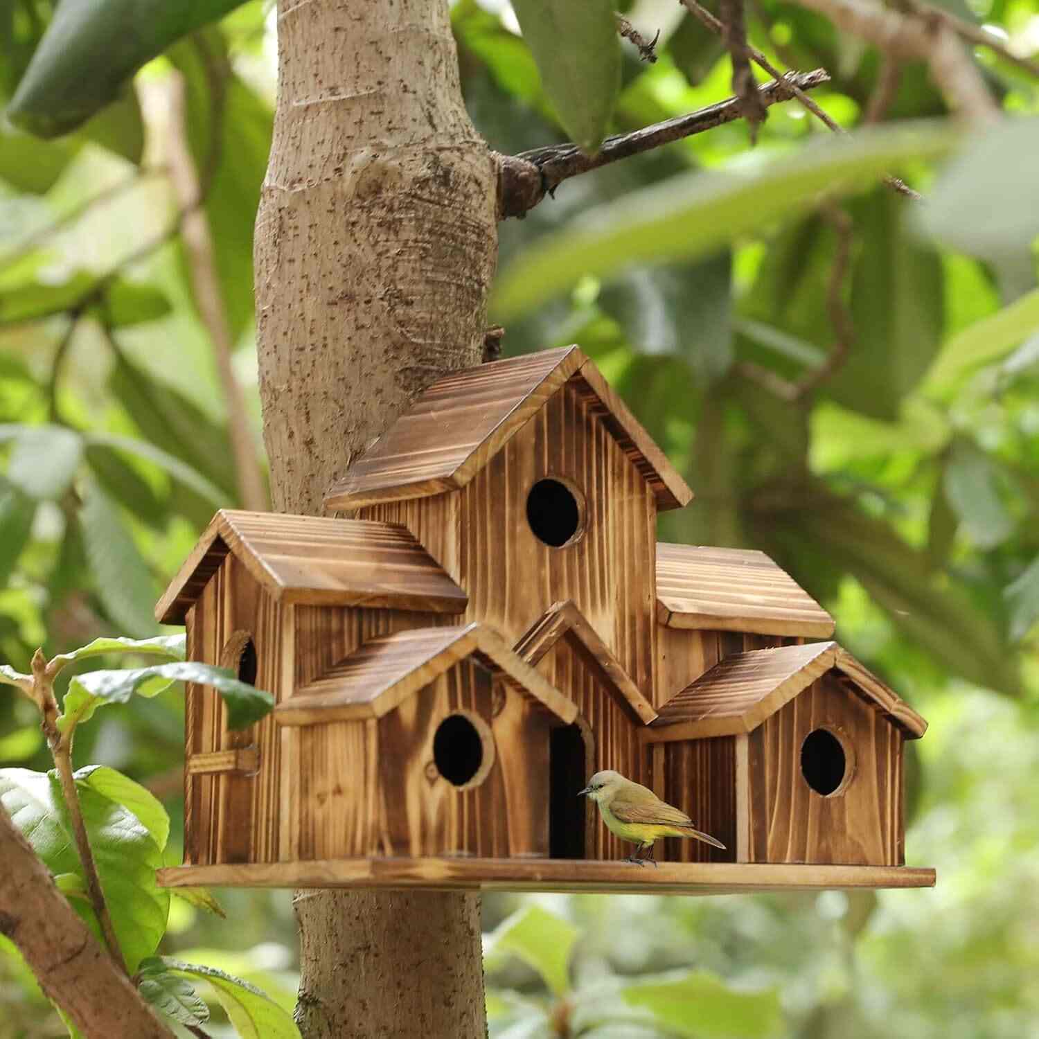 Wooden Bird - Lakadee Ka Pakshee Price Starting From Rs 1,399/Unit