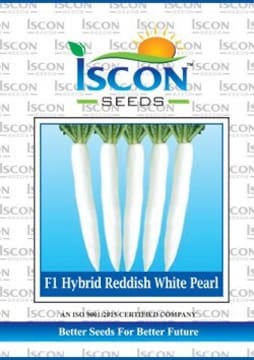F1 Hybrid Radish White Seed - Get Best Price from Manufacturers ...