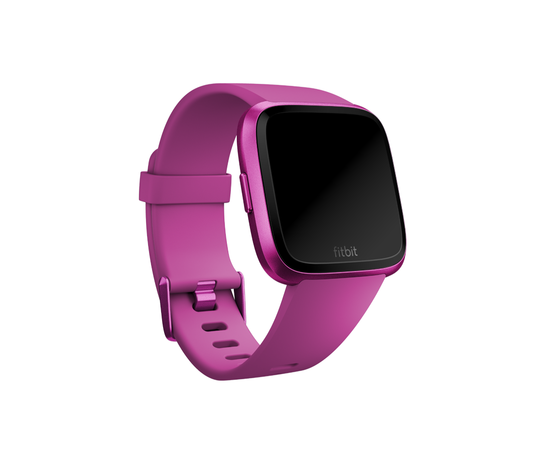 Fitbit Mulberry Large Esmart Watch Get Best Price from