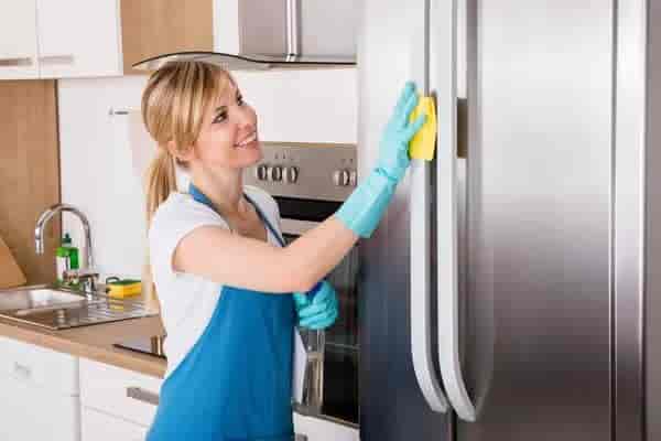 Fridge Deep Cleaning Service