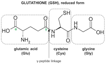 luxxe white glutathione content LUXXE White 60Caps Frontrow Official US Distributor Authentic Free Ship  EXP02/27 main image 1