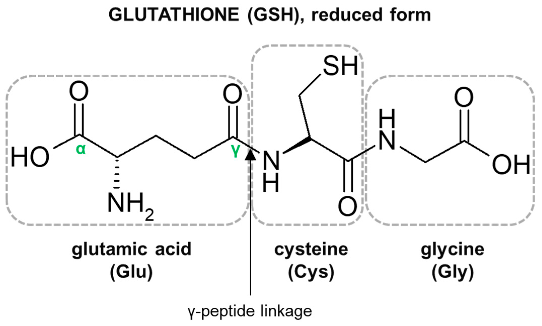 ipamorelin vs ghrp-6 hunger appetite ipamorelin vs ghrp-2 ghrp-6 side effects hunger prolactin GHRP vs. GHRH: What's the Difference ipamorelin vs ghrp-6 hunger appetite ipamorelin vs ghrp-2 ghrp-6 side effects hunger prolactin GHRP vs. GHRH: What's the Difference