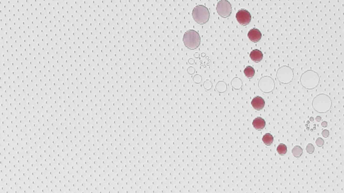 Godrej Interio Orthopedic Gaddi Get Best Price from Manufacturers