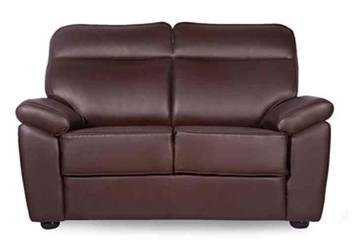 Rej Interio Planteous 2 Seater Synthetic Leather Sofa