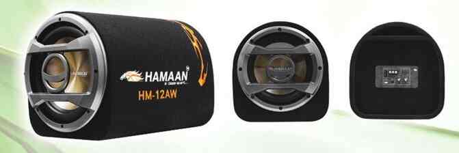 hamaan underseat subwoofer