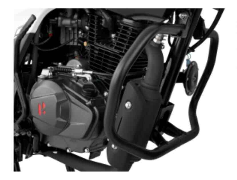 Honda livo engine online guard