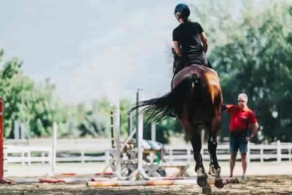 Horse Riding Coaching