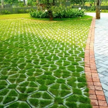 interlocking-grass-pavers-801190043-ymwx0h36.png
