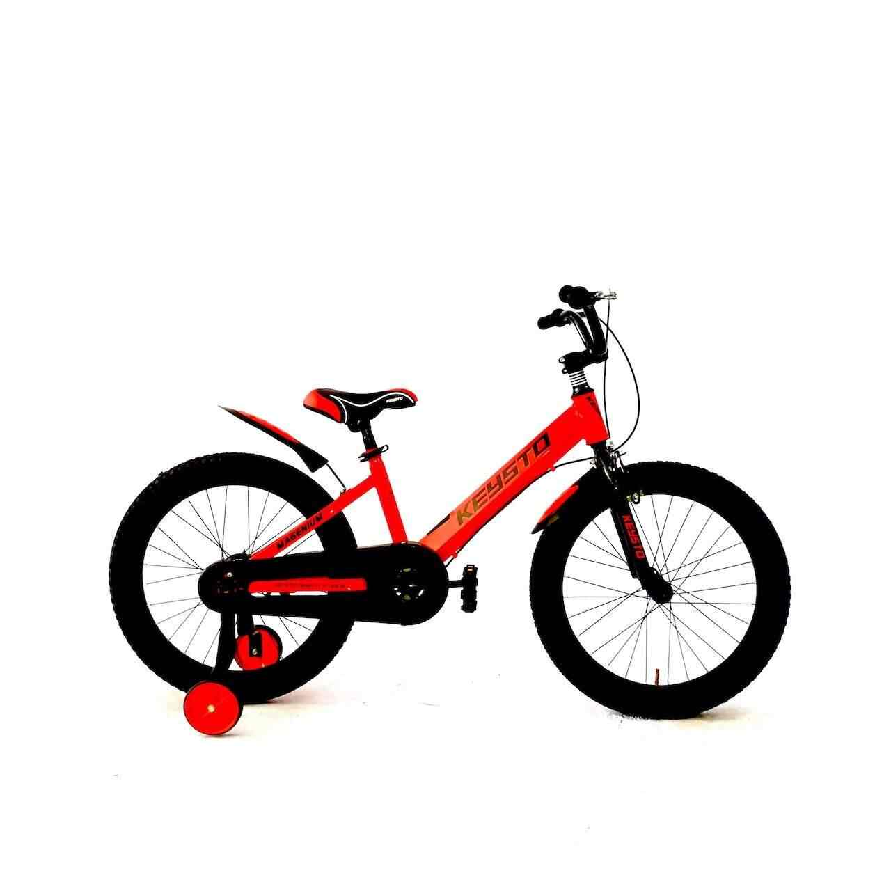 MRJ FILLICO 20 INCH in Mumbai at best price by EVEREST CYCLE