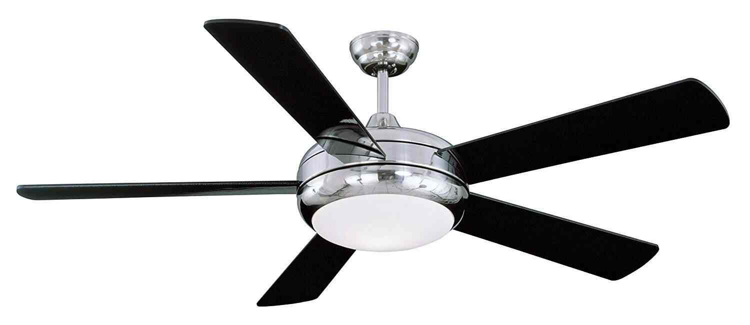 Litex Ceiling Fan Shelly Lighting