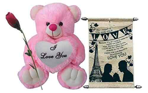 i love you teddy bear for girlfriend