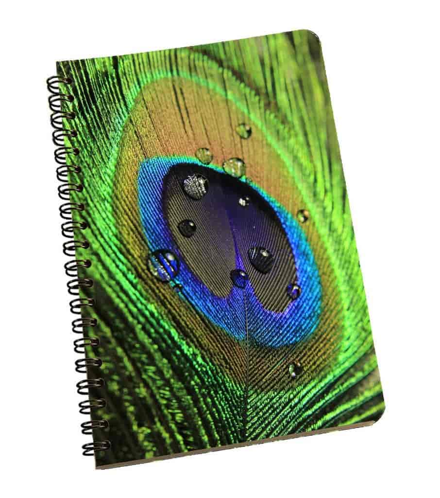 Me Sleep Peacock Notepad [NBA5-01-171]