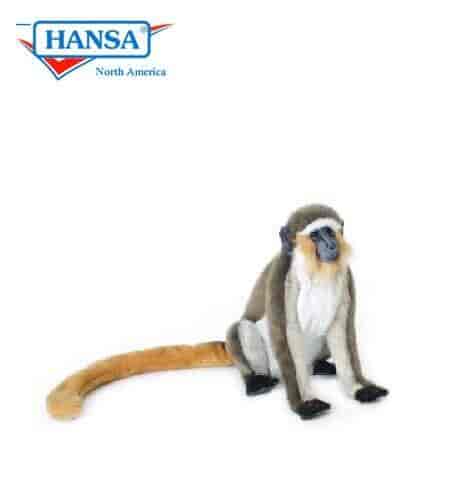 Hansa monkey 2025