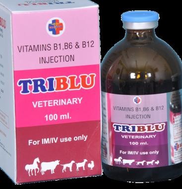 Vitamin B1 B12 Injection Price Starting From Rs 245/Pc. Find Verified Sellers in Salem