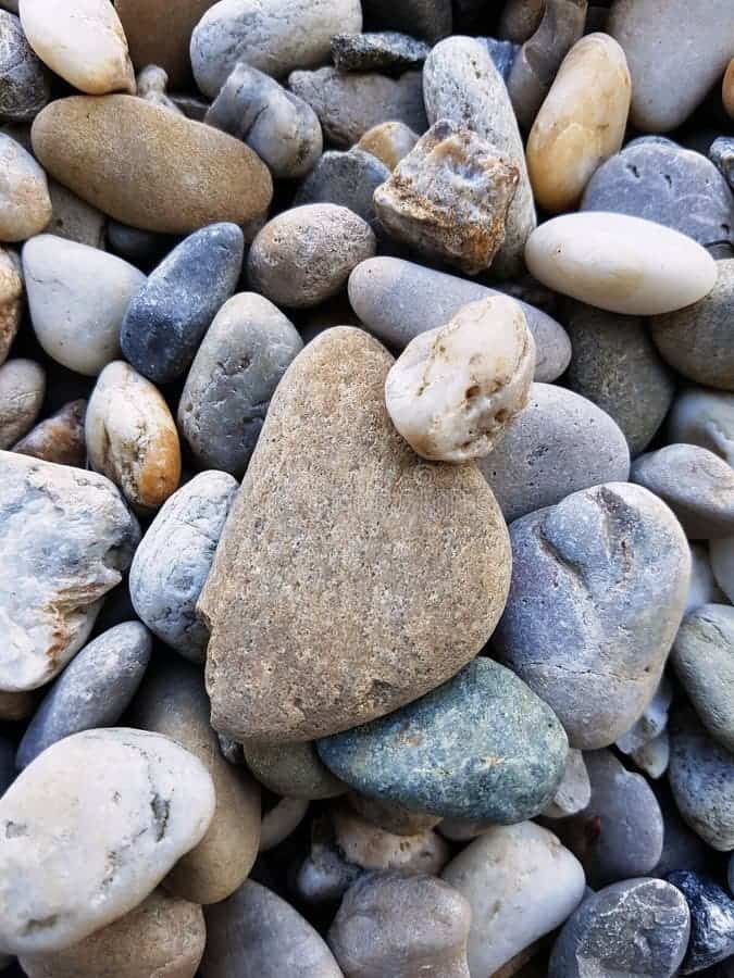 Pebble Stone in Tadipatri - Beautiful, Natural & Durable Stones ...
