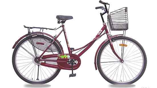 Nova Red Rose Female Push Bike Purple Get Best Price from
