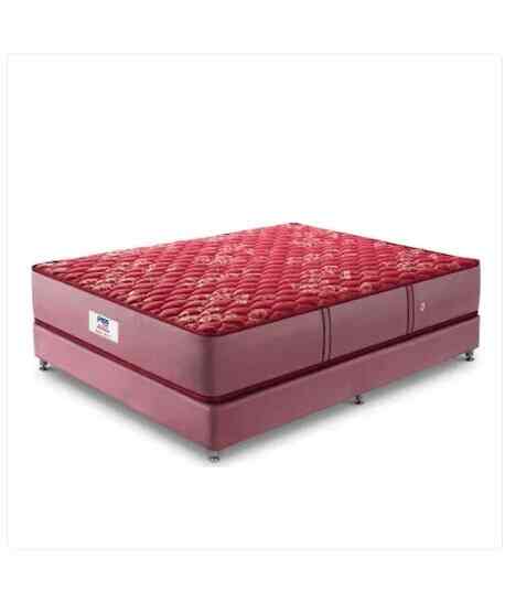 Peps spring bed price online