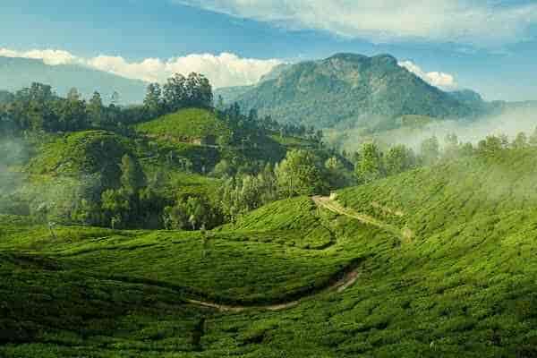 Packages For Munnar
