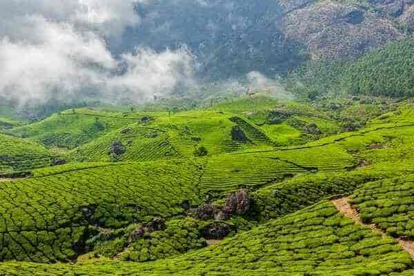 Packages For Munnar