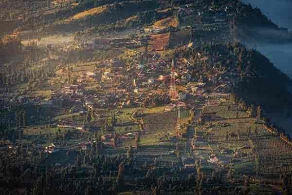 Packages For Ooty