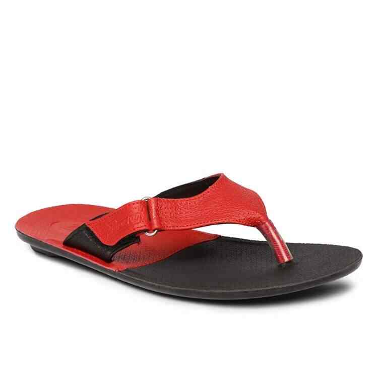 Flip flop paragon 2025