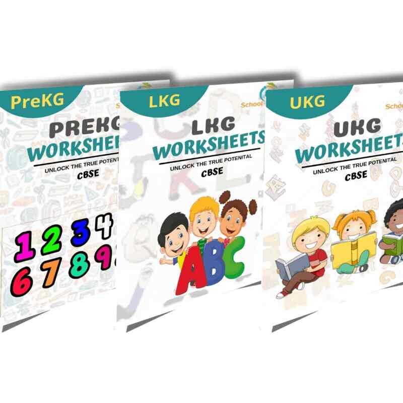 class 11 soft copy worksheets pdf economics in chennai at best price by la chatelaine junior college justdial