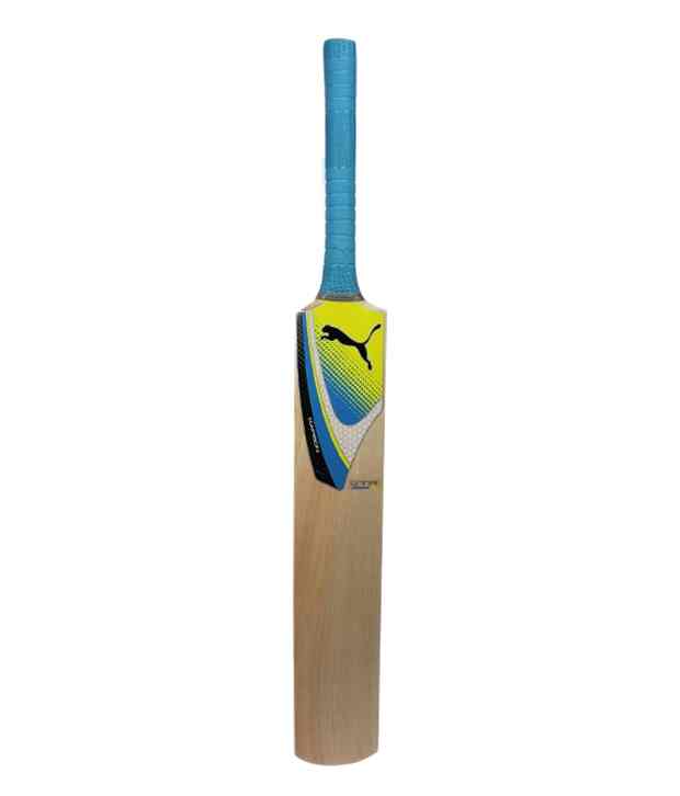 puma evospeed gtr cricket bat