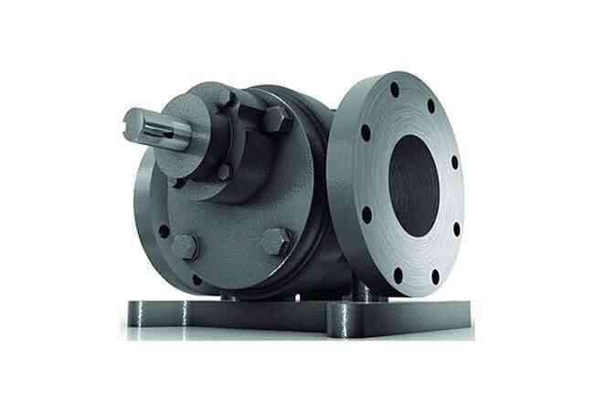 Radicon Power Build Helical Gear Pumps in Jowai - Dealers ...