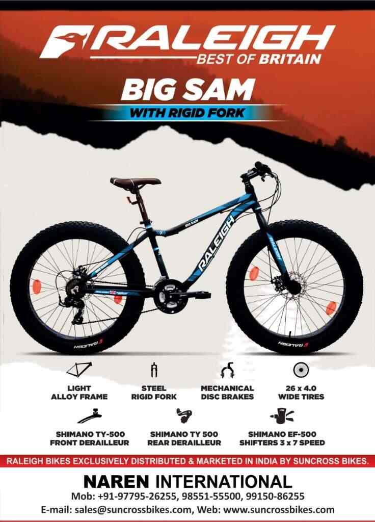 raleigh big sam bicycle