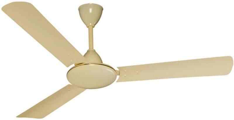 Buy Rallifan 1200mm Orchid 380 Rpm Ceiling Fan Ivory 3 Blade