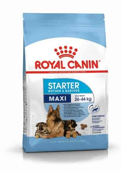 Royal Canin Maxi Starter Dry Dog Feed - 4 kg