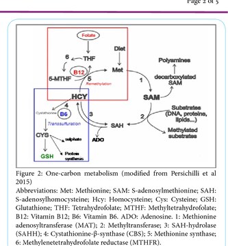S Adenosyl L Methionine - Get Best Price from Manufacturers & Suppliers in  India