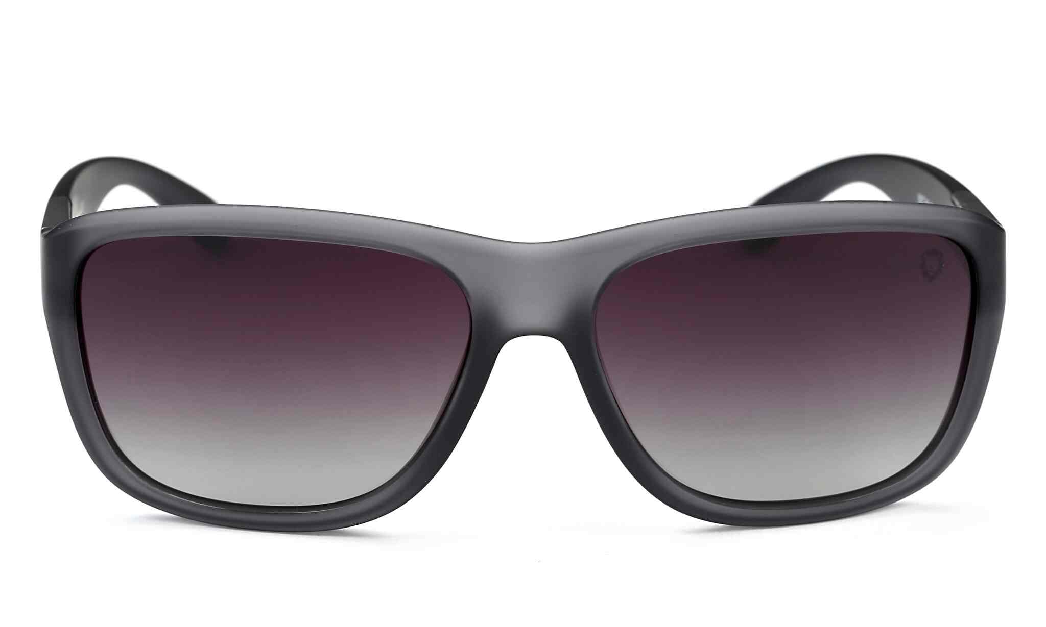 safari sunglasses price india in