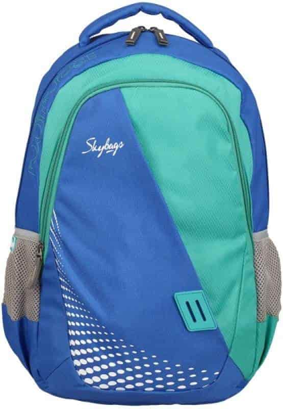 skybags 26 l backpack