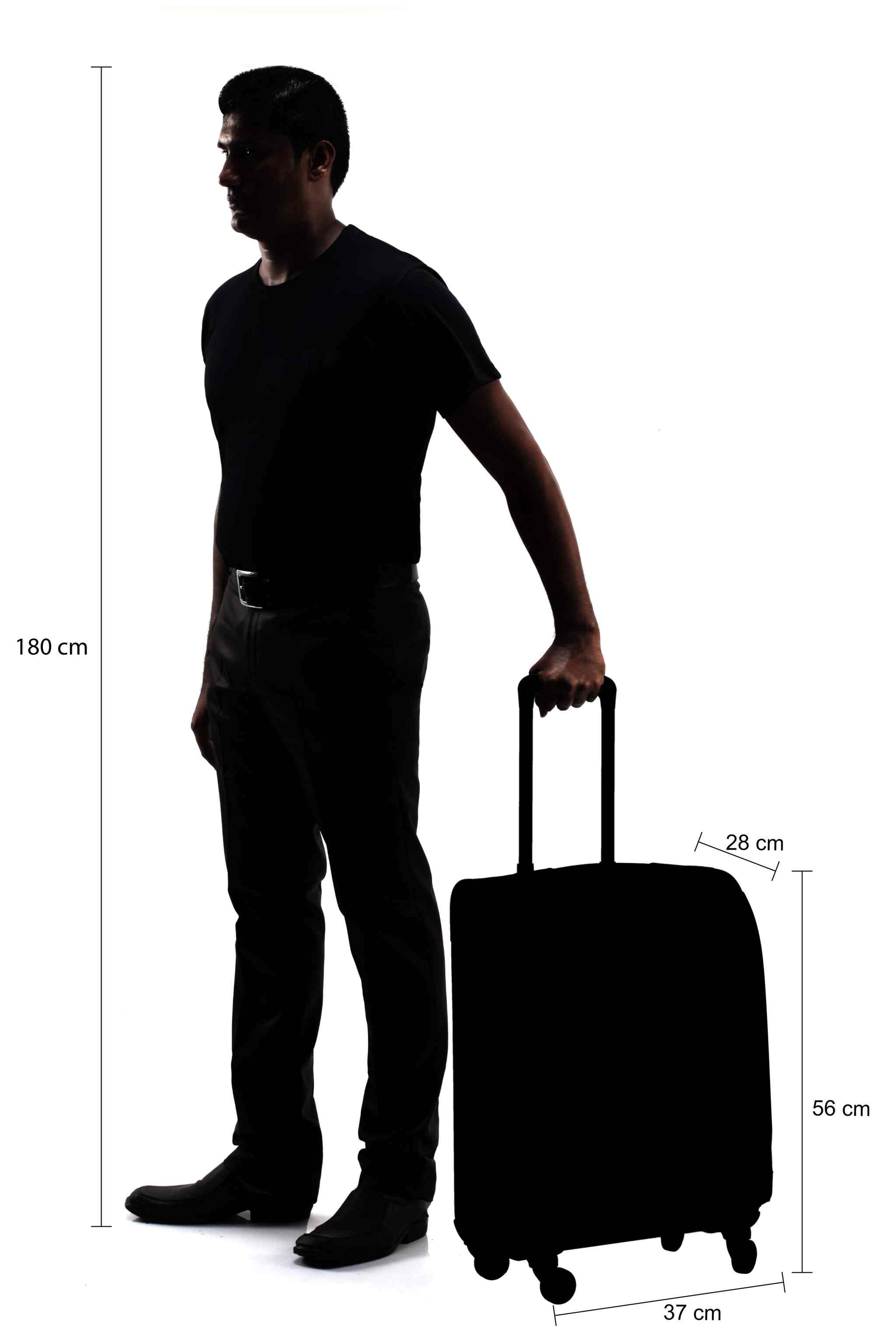 Skybags footloose trolley outlet