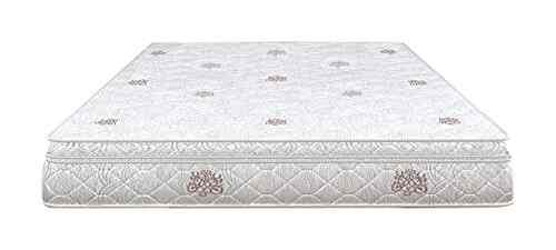 Buy Sleepwell Amity 12 King Size Coir Mattress White And Beige 83x71x12 Features Price Reviews Online In India Justdial