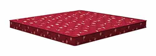 Sleepwell Spinetec Air Coir Mattress (Double, Maroon , 71 x 42 x 8)