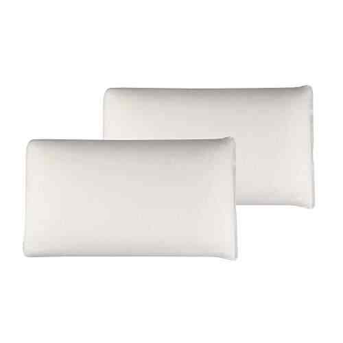 The White Willow Set Of 2 Memory Foam Decorative Square Cushion